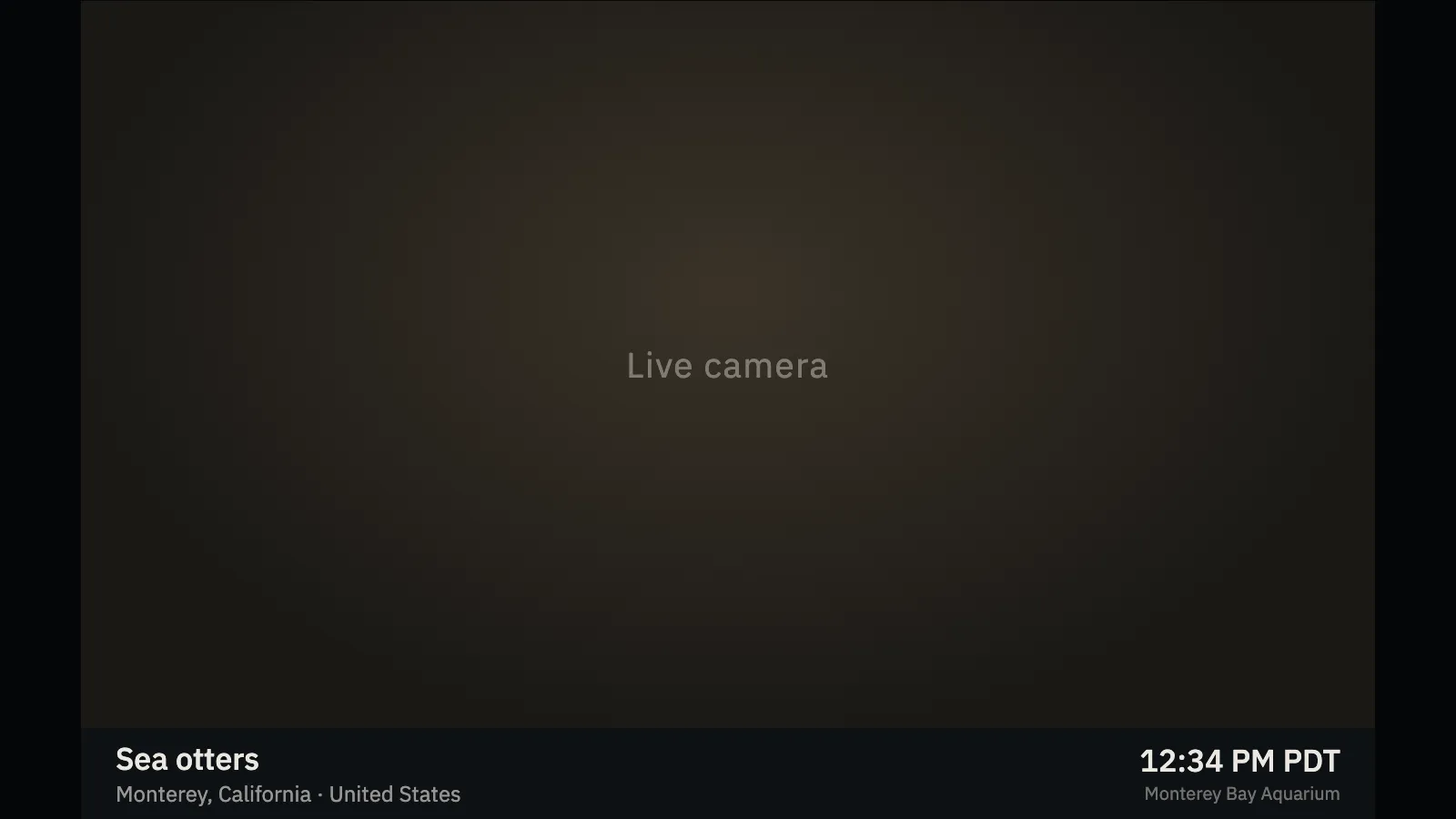 Elsewhere, animals topic: a dark placeholder frame reading Live camera, with the caption band beneath it naming Sea otters, Monterey, California, United States, the local time 12:34 PM PDT and the owner, Monterey Bay Aquarium. The gallery image is a mock frame, not a capture of live video.