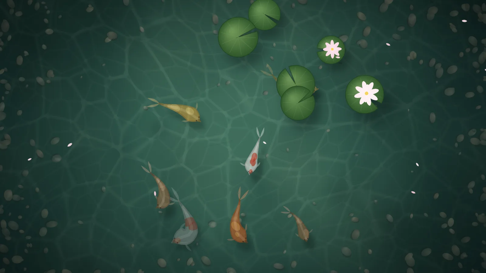 Koi by day: six koi in orange, gold and white-and-red swim through green water webbed with caustic light, among lily pads — two carrying pale blossoms — with pebbles along the banks and a few petals on the surface.