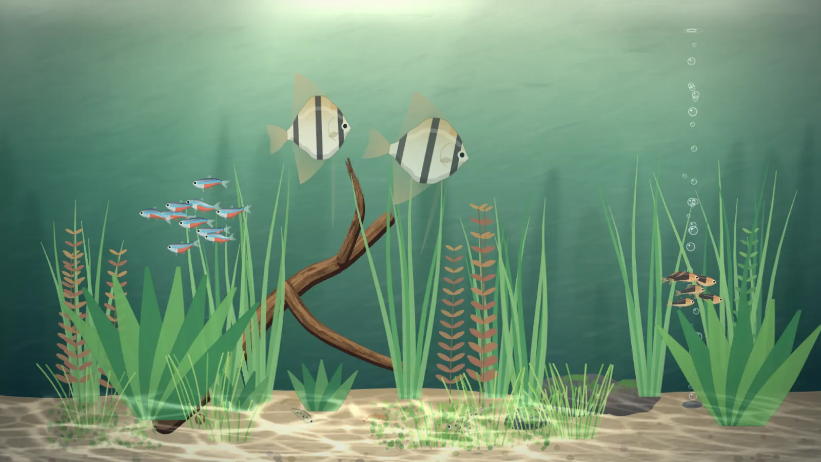Tank, planted: a green freshwater aquarium with two striped angelfish, a school of small blue and red tetras, crossed driftwood, tall grass and red stem plants over sunlit sand, and a thin line of bubbles rising on the right.